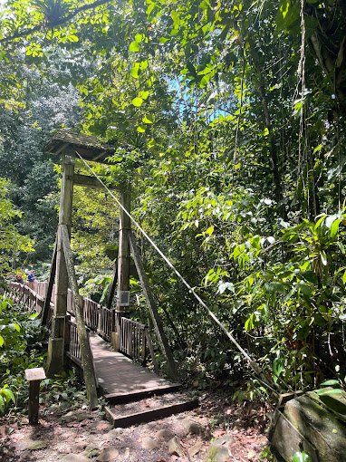Sentier de la maison de la foret en Guadeloupe