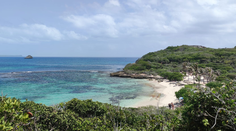 Anse Tarare, plage naturiste à Saint-François en guadeloupe