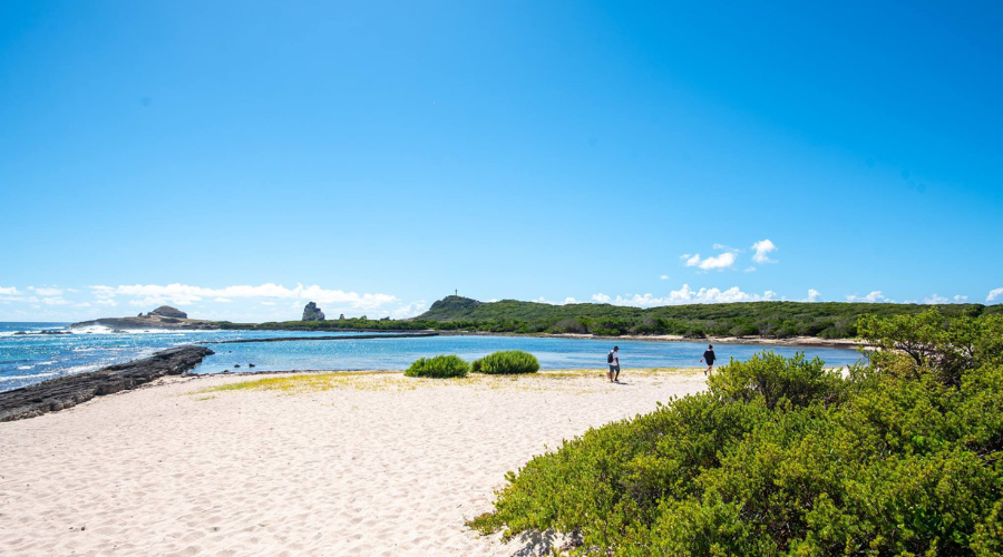 Plage des Salines de Saint-François