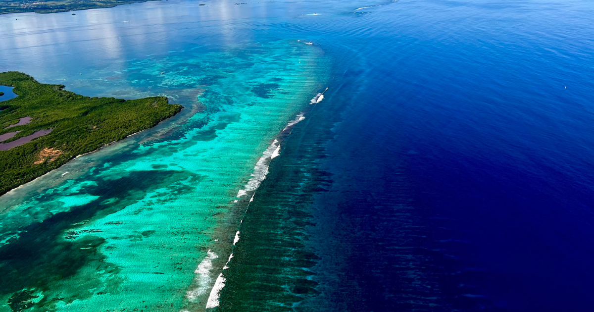 Grand Cul-de-Sac Marin en Guadeloupe : Un joyau à explorer
