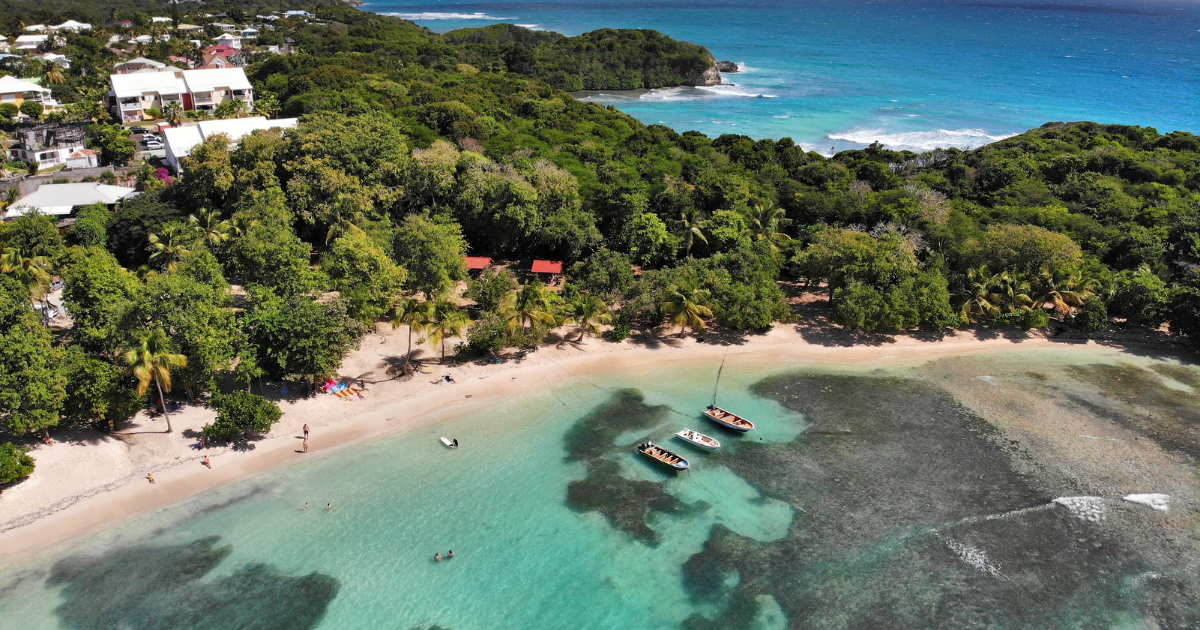 The best guide to planning your trip to Guadeloupe [2024]