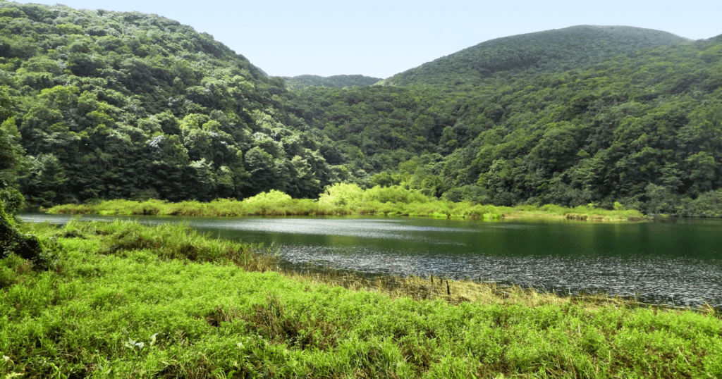 Les meilleurs visites guidées et excursions de Guadeloupe