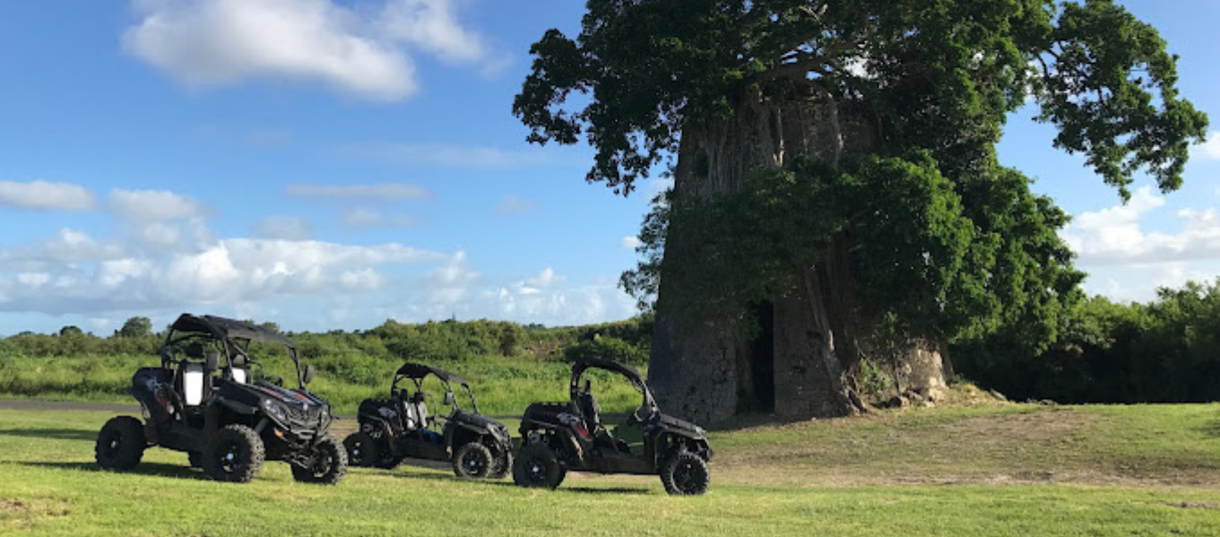 Buggy et Quad en Guadeloupe