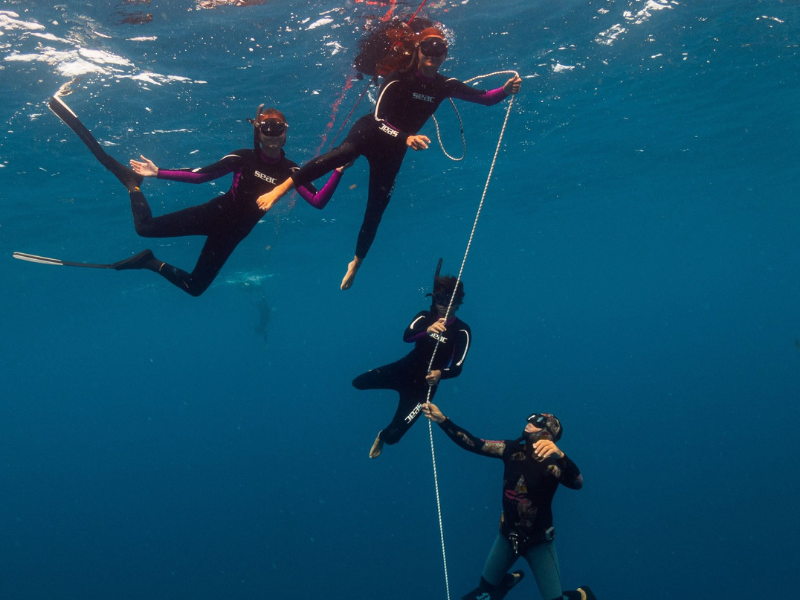 Initiation apnée Guadeloupe
