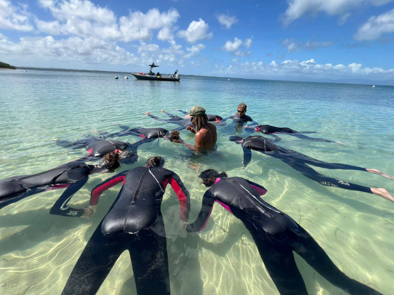 Initiation apnée Guadeloupe