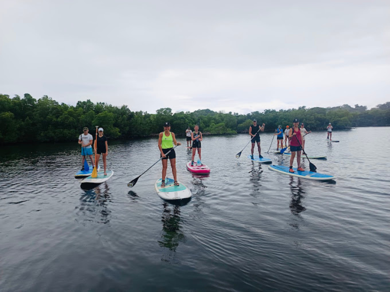 Paddle en Guadeloupe Grand cul-de-sac marin