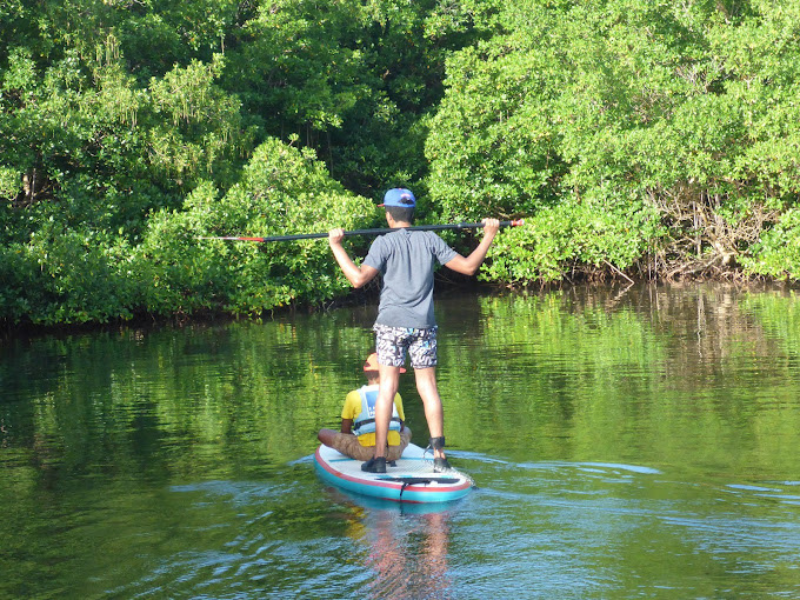Paddle en Guadeloupe Grand cul-de-sac marin