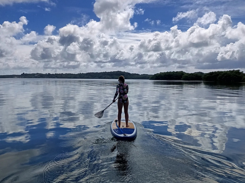 Paddle en Guadeloupe Grand cul-de-sac marin