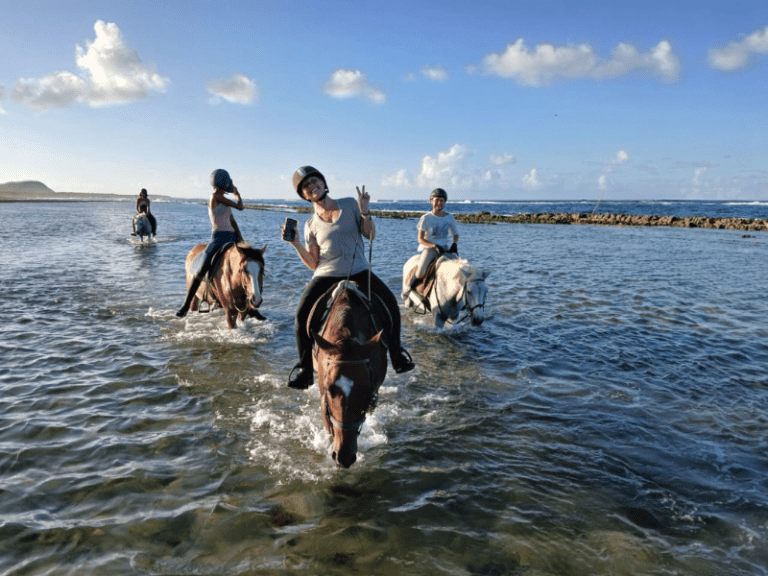 Balade en bord de mer à cheval – Saint-François