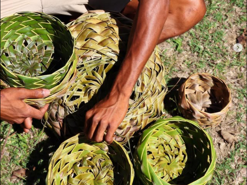 Atelier tressage de feuilles de cocotier guadeloupe