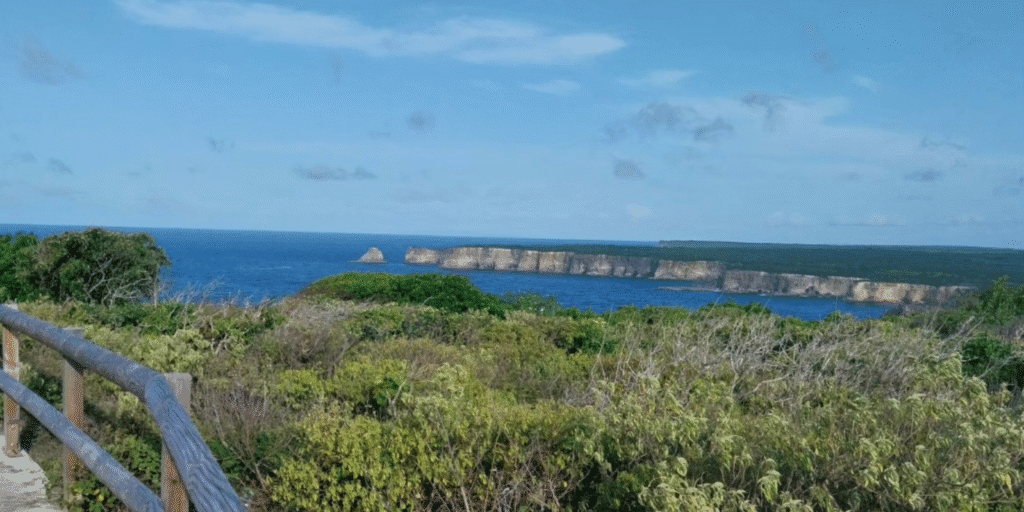 La pointe de la grande vigie à Anse-bertrand