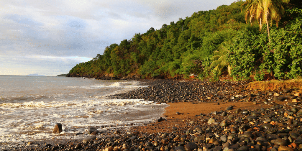 Que faire à Pointe-Noire en Guadeloupe ?