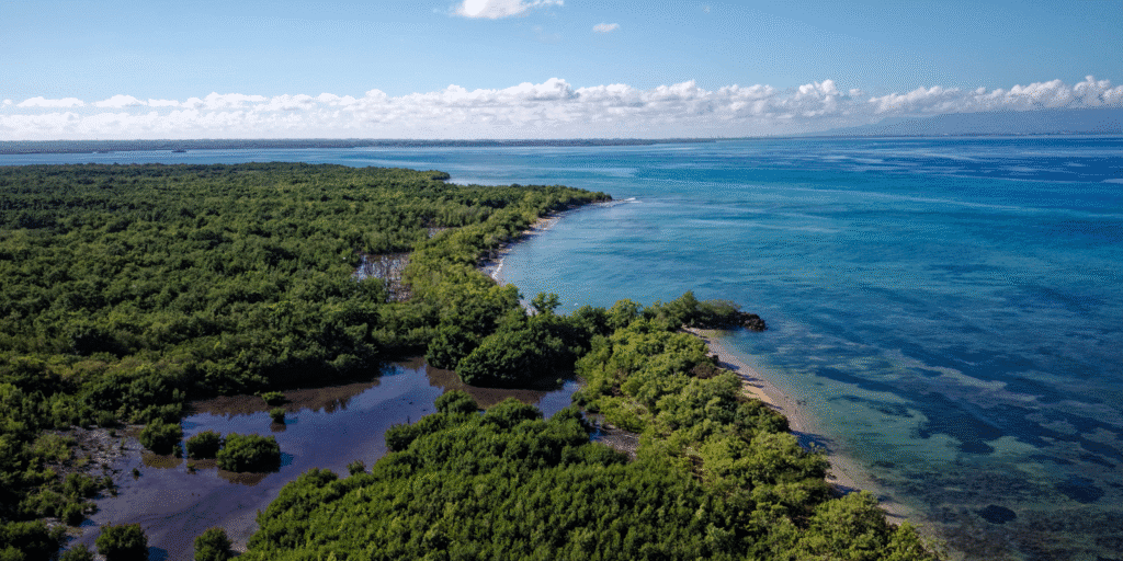 Que faire à Port-Louis ?