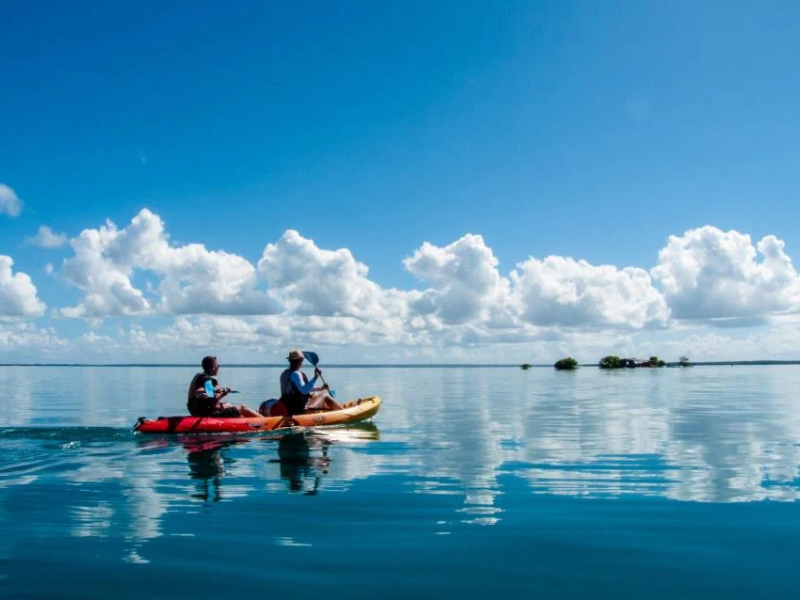 Kayak mangrove Sainte-Rose (3)