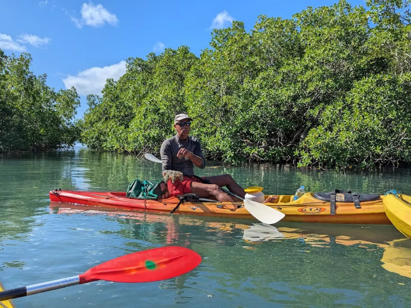 immersion guidée et écologique dans la réserve UNESCO. Basé à Sainte-Rose