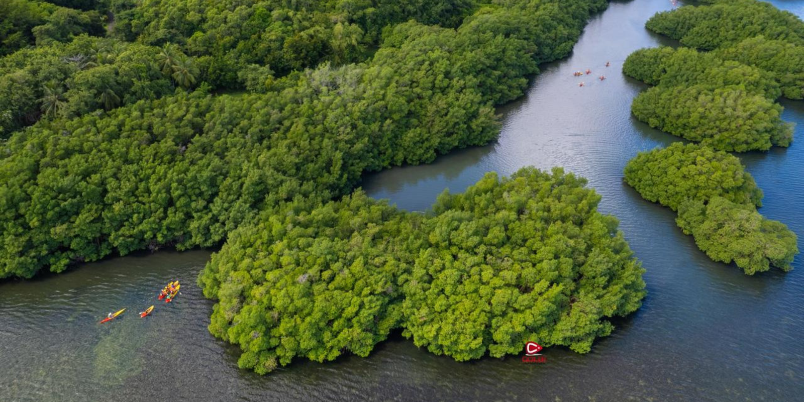 Littoral de morne-à-l'eau