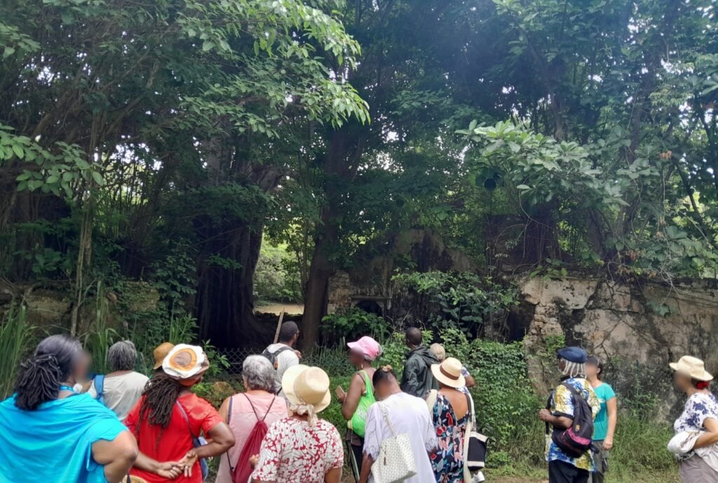 WhatsApp Image 2025-11-20 at 13.57.48 (3)