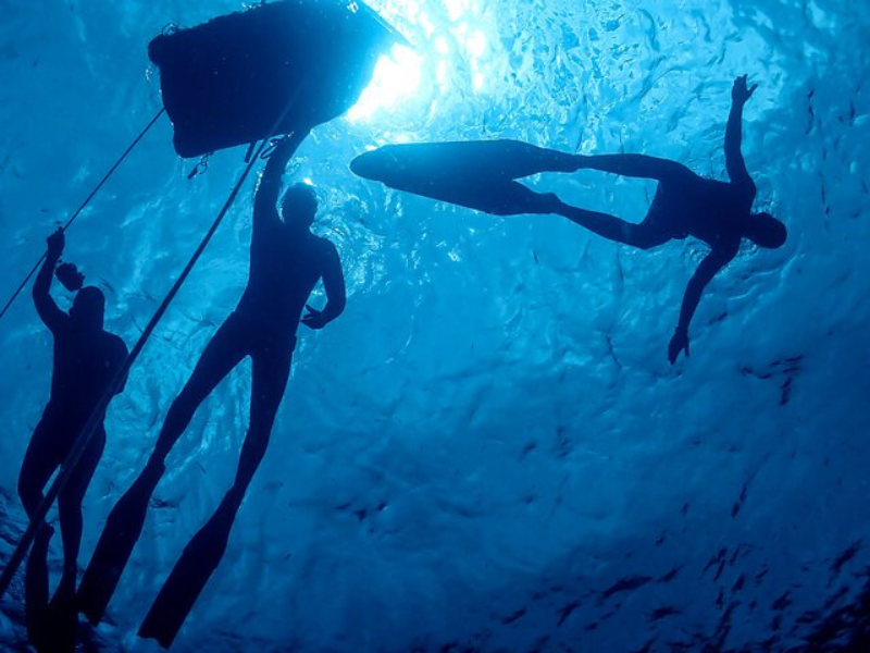 Snorkeling Grand Cul-de-sac marin en Guadeloupe