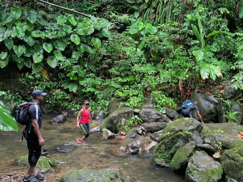 Randonnée secrète en Guadeloupe à Petit-Bourg