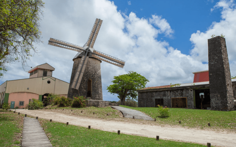 Visite guidée de marie-galante, distillerie bielle