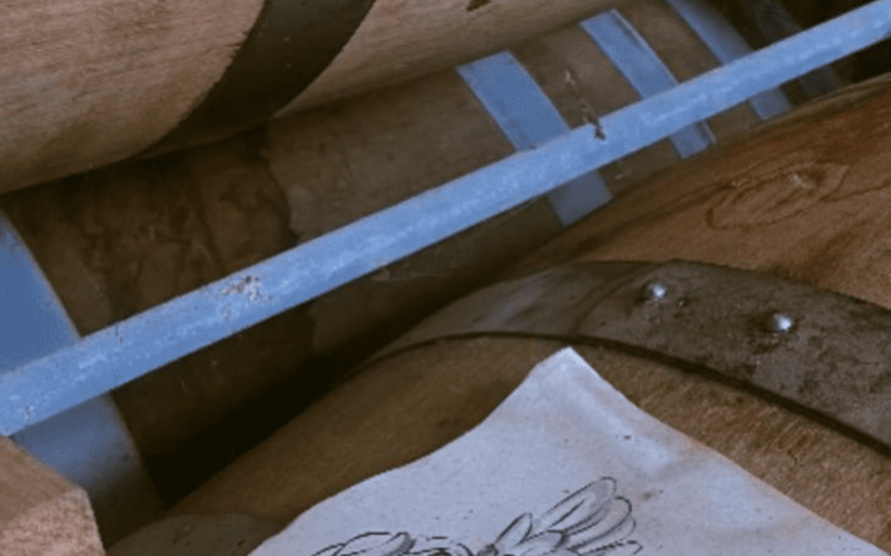 au cœur de la canne à sucre guadeloupe