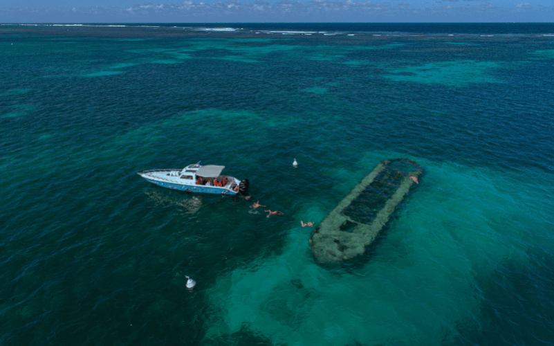 Excursion dans le grand cul de sac marin en bateau en Guadeloupe