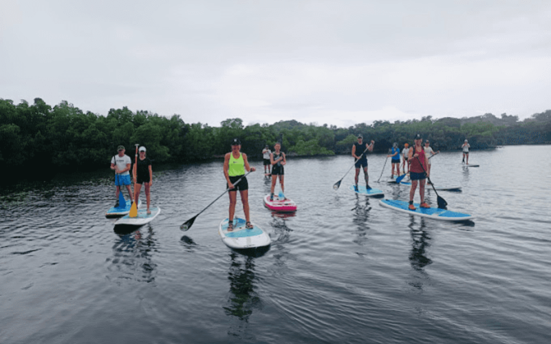 Paddle en Guadeloupe Grand cul-de-sac marin
