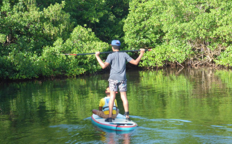 Paddle en Guadeloupe Grand cul-de-sac marin