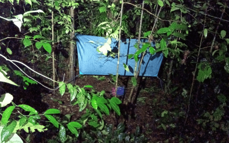 Bivouac en Guadeloupe - Forêt de Guadeloupe