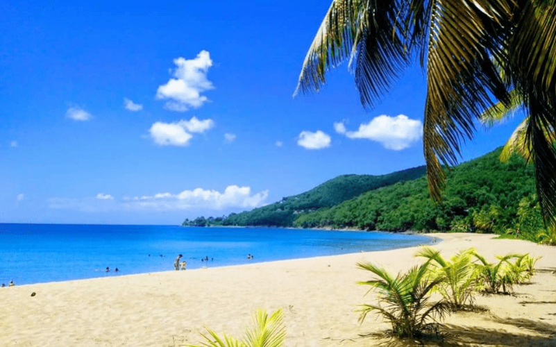 Visite guidée privée avec chauffeur en Guadeloupe