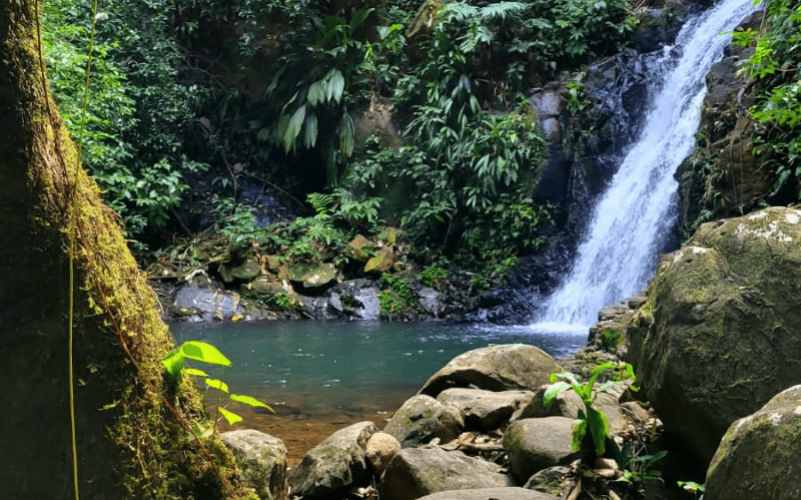 Visite guidée privée avec chauffeur en Guadeloupe