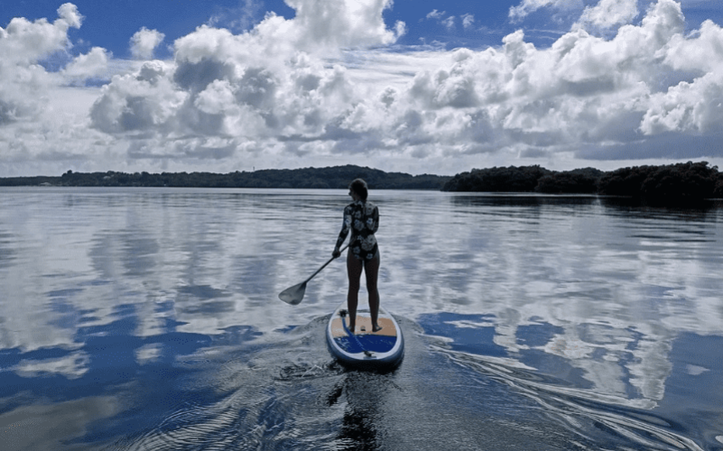 Paddle en Guadeloupe Grand cul-de-sac marin