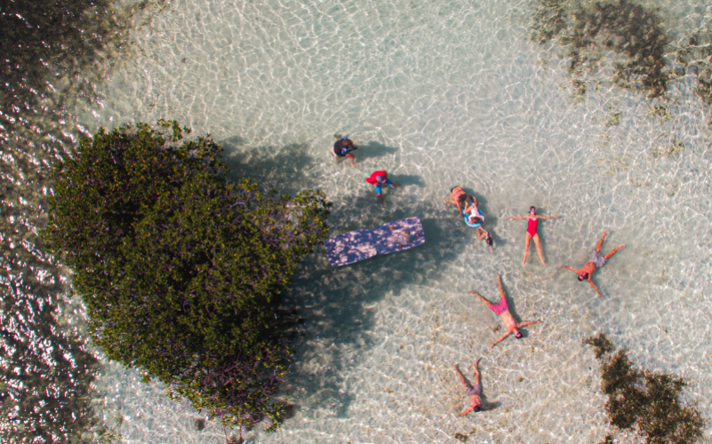 Excursion dans le grand cul de sac marin en bateau en Guadeloupe