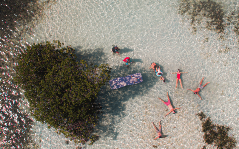 Excursion dans le grand cul de sac marin en bateau en Guadeloupe