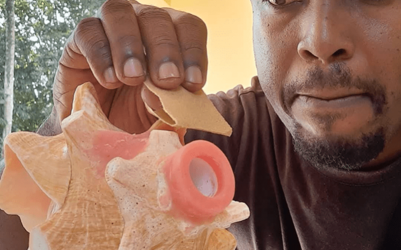 Initiation à l'instrument conque à lambi en Guadeloupe