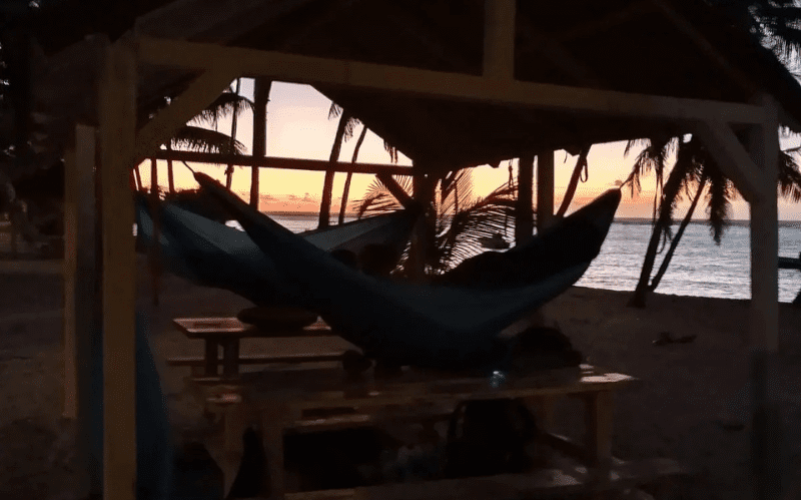 Bivouac en Guadeloupe - Forêt de Guadeloupe