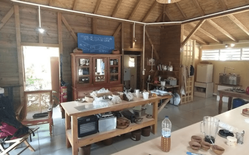 Atelier Chocolat : Confectionnez votre Tablette de A à Z en Guadeloupe