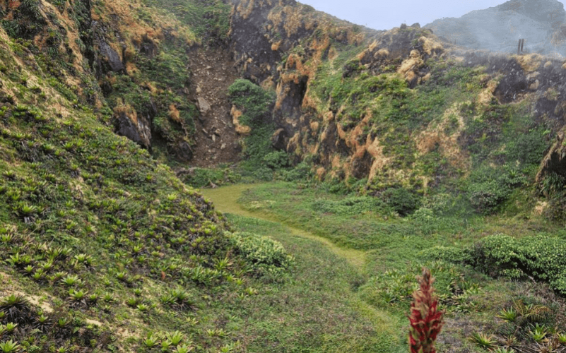 Randonnée sur le volcan de la soufrière