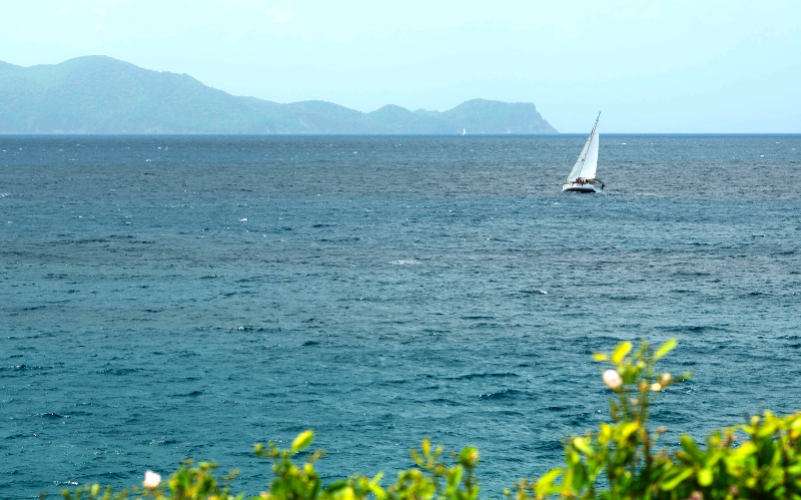 Excursion d'une journée à la voile aux Saintes - Depuis Gourbeyre