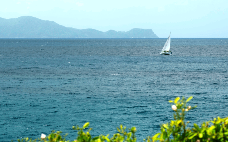 Excursion d'une journée à la voile aux Saintes - Depuis Gourbeyre