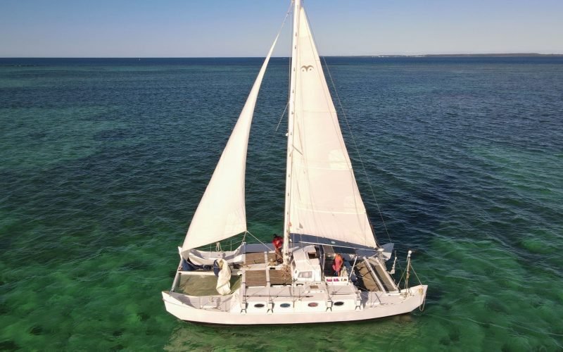 359207787_585021893835612_4558166252258974102_n (2)