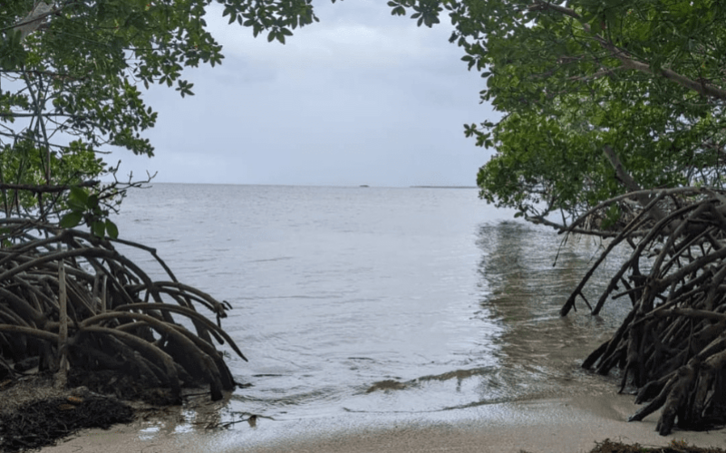 Excursion en bateau à Petit-bourg dans le petit cul de sac marin
