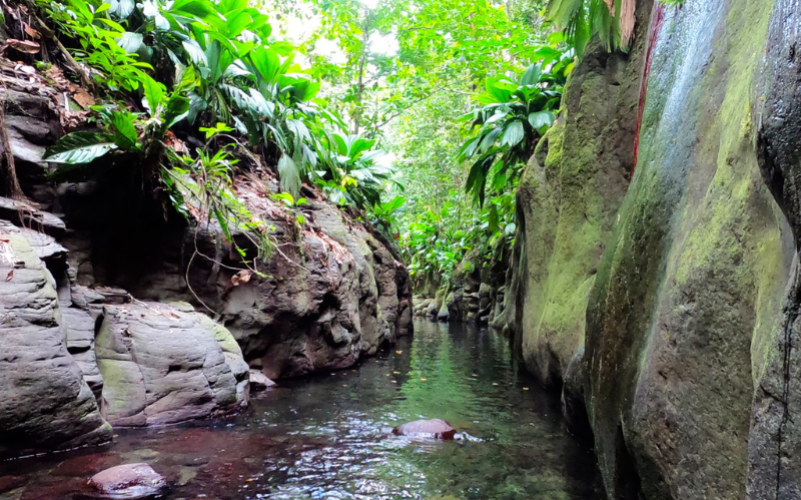 Randonnée canyon moustique