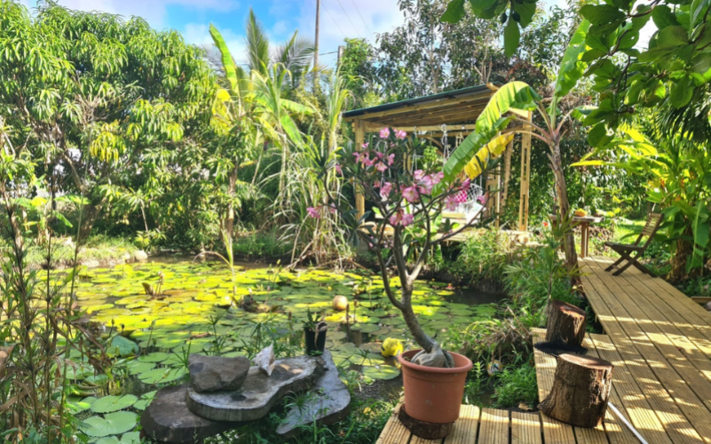 Fabriquez vos Bijoux en Graines Naturelles" avec la Kaz à Graines