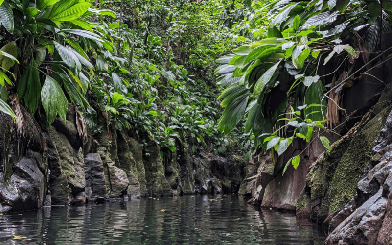 Randonnée canyon moustique
