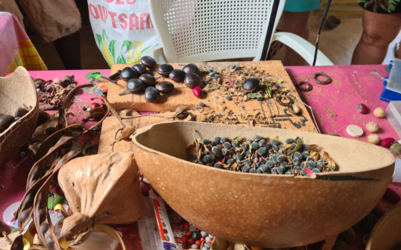 Fabriquez vos Bijoux en Graines Naturelles" avec la Kaz à Graines