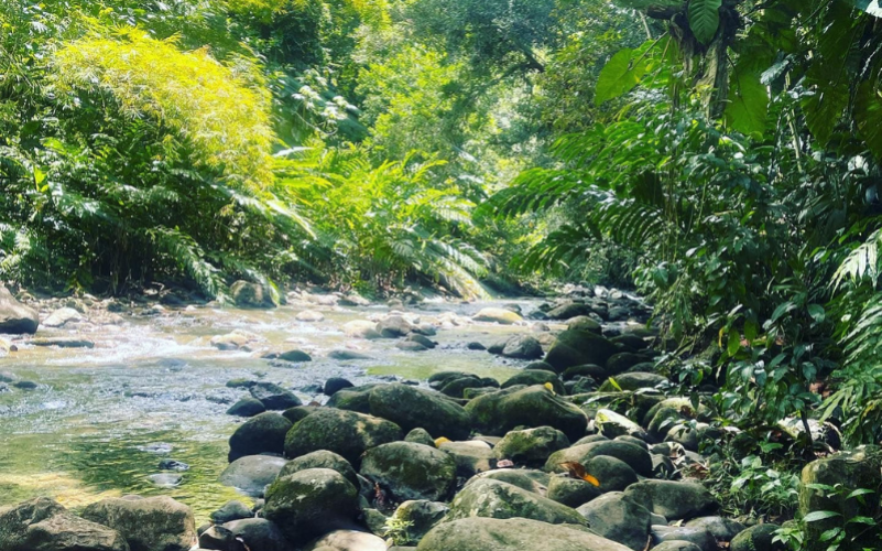Randonnée canyon moustique