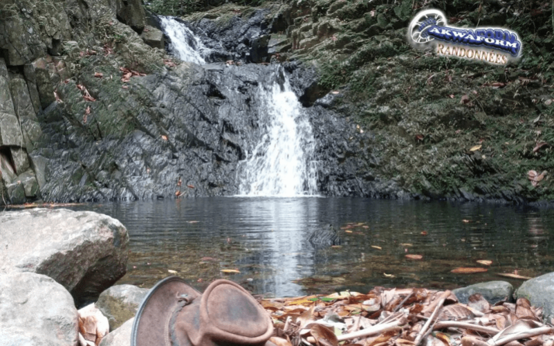 Bivouac en Guadeloupe - Forêt de Guadeloupe