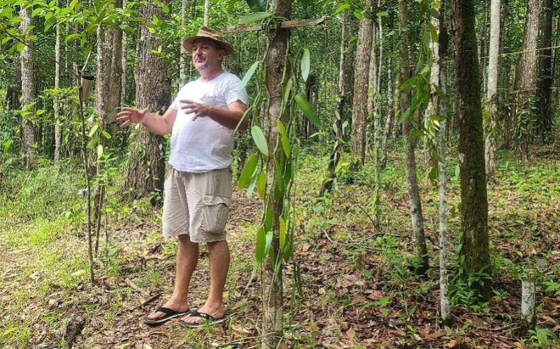 Visite de la Vanilleraie de Cedric Coutelier en Guadeloupe