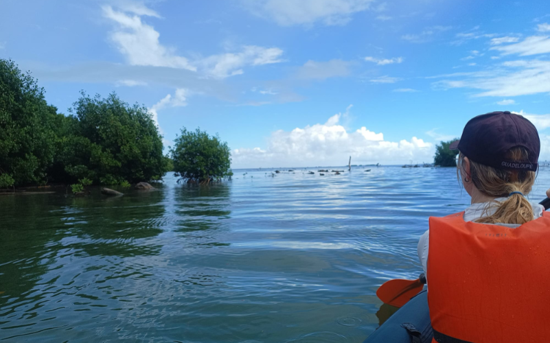 Excursion en kayak et halte gourmande à la kassaverie de Sainte-Rose
